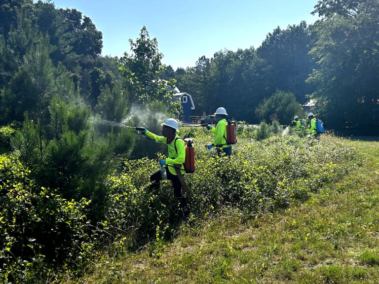 Creating Sustainable Habitat